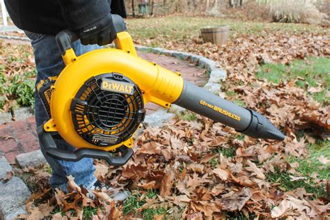May 1, 2022 · Toro 51619 Ultra Electric <strong>Blower</strong> Vac. . Best cordless leaf blower